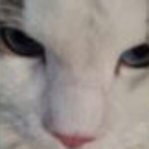 Profile photo of Soyeon8741