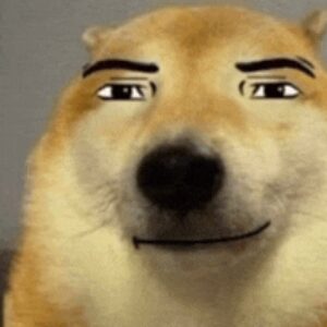 Class logo of 26-T550 G4 Sapphire A – Sami